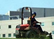 Commercial Ground Maintenance & Landscaping